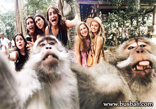Monkey-Forest-Ubud